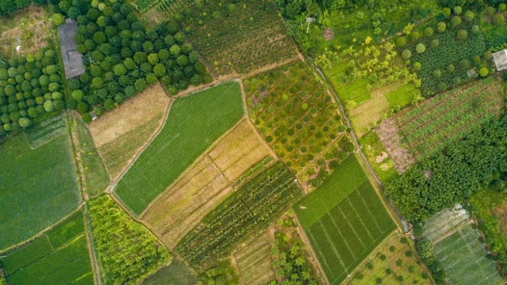 Свой гектар. Бесплатный курс.