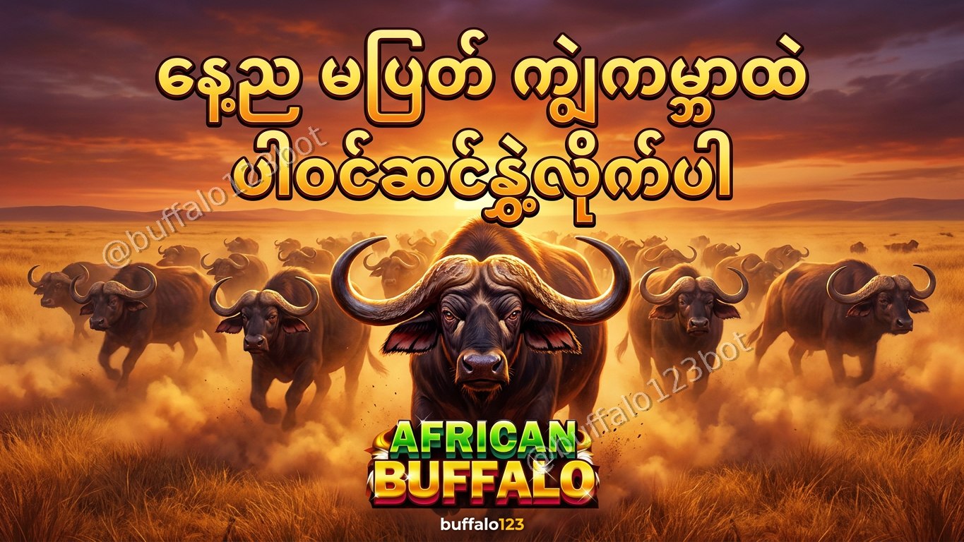 ကျွဲဂိမ်း Buffalo123 Official