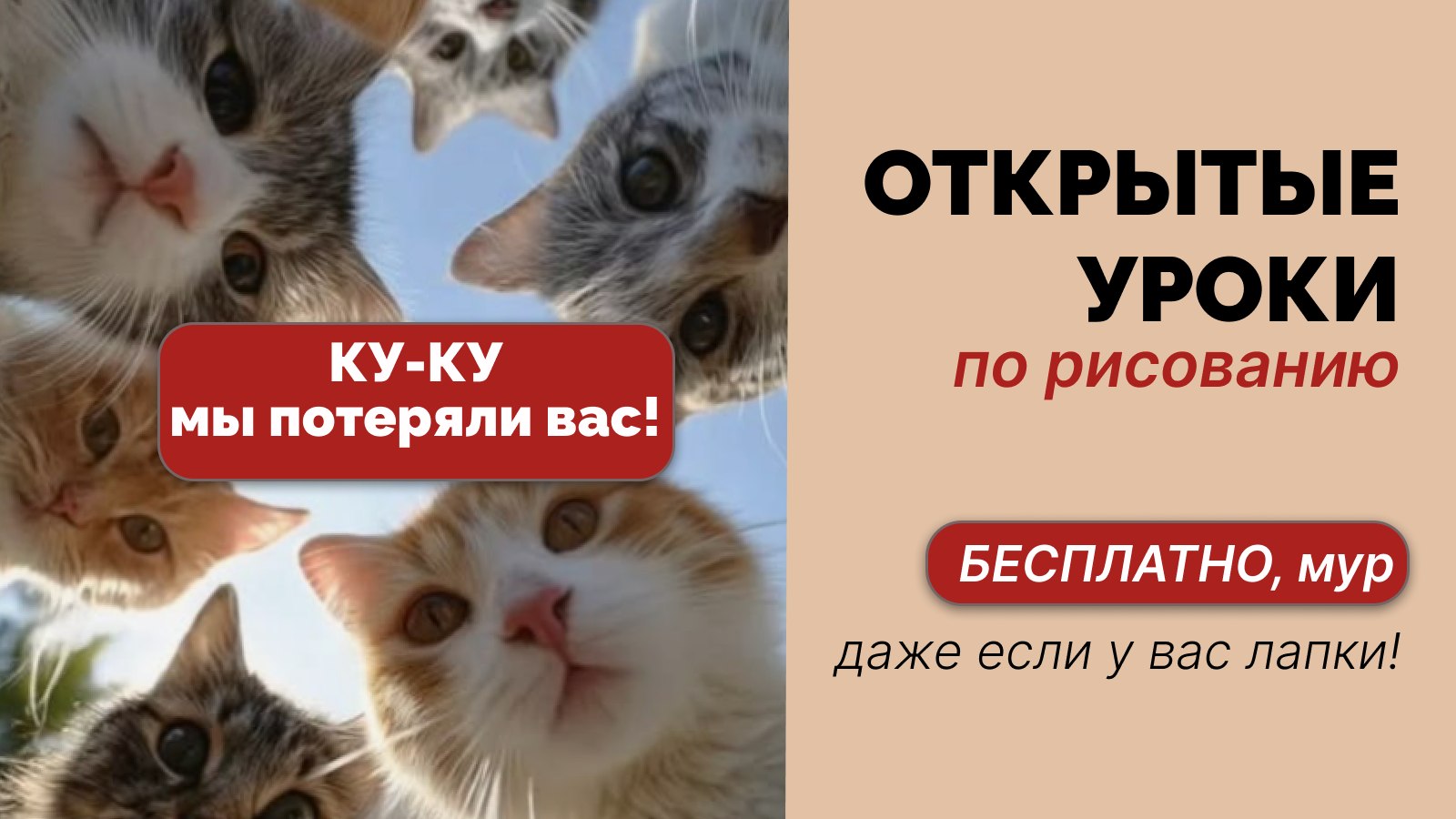 Сертификаты участникам и подарки👇