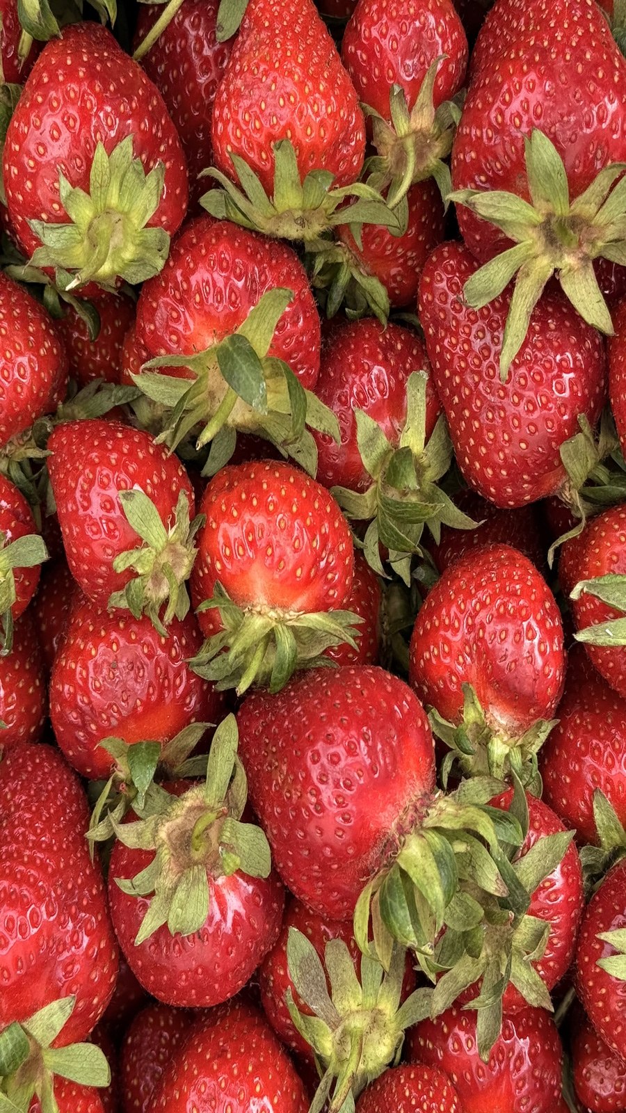 ecomarket.ru