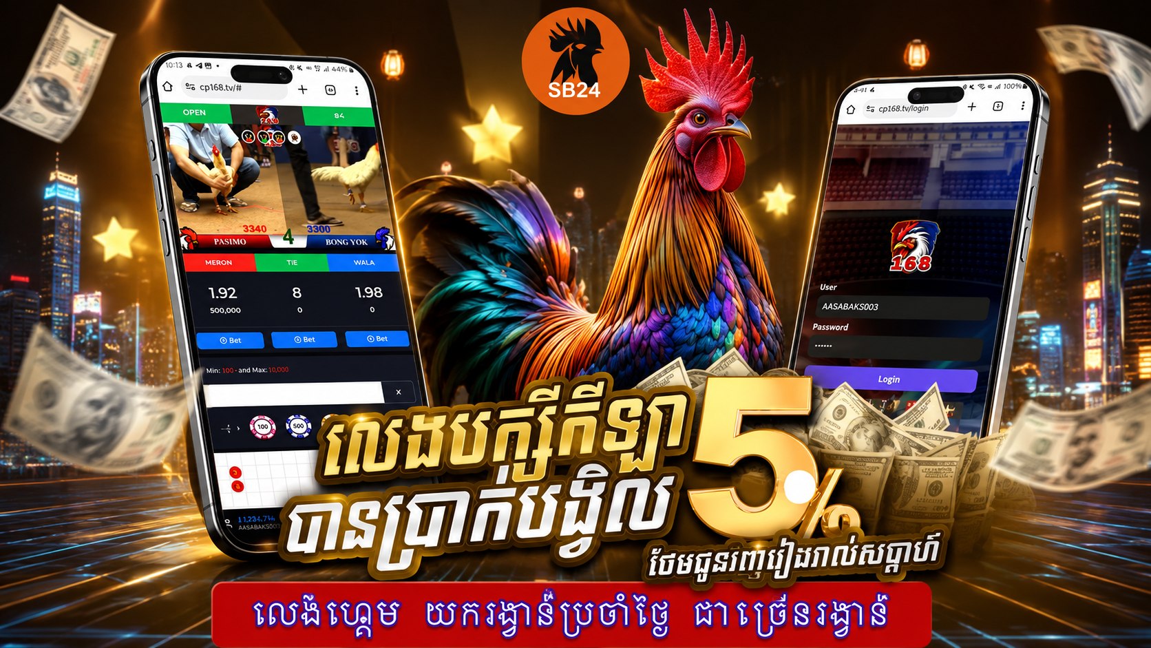 បក្សីកីឡា SB24