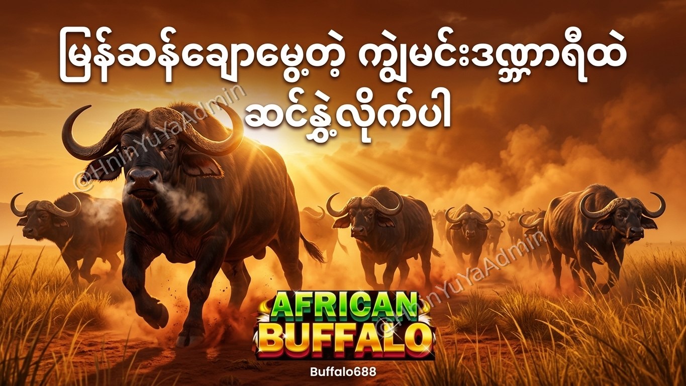 ကျွဲဂိမ်းအစစ် Buffalo688 ၊ကျွဲဘုရင် ၊ရှမ်းကိုးမီး၊ဘူကြီး