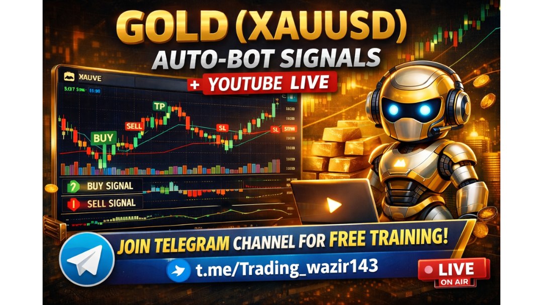 The Trading Wazir