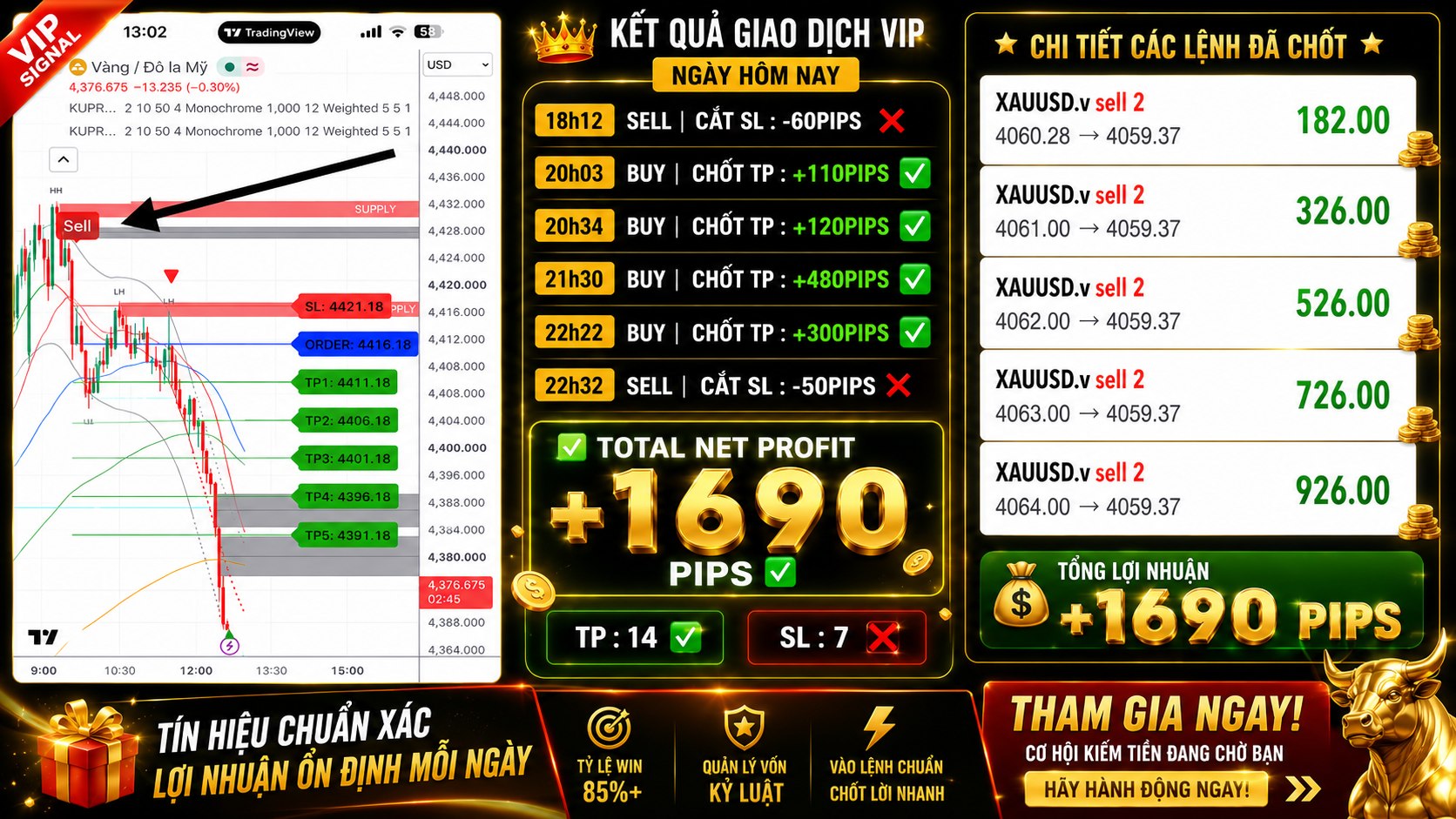 DaiLy | Gold Master VN