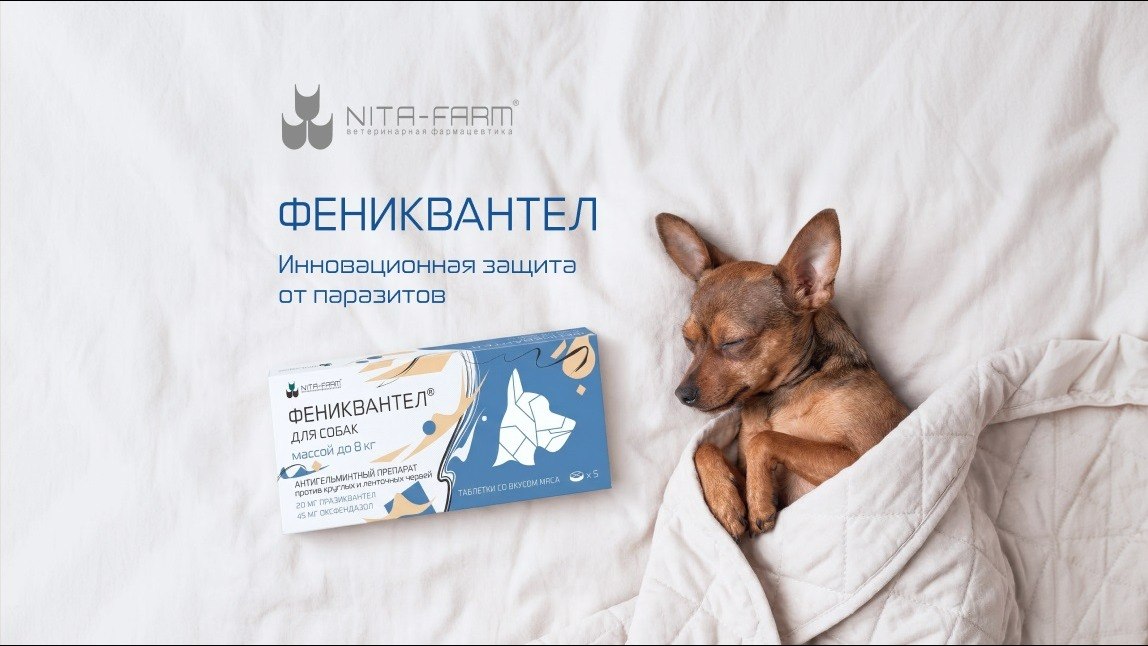 Нита-Фарм
