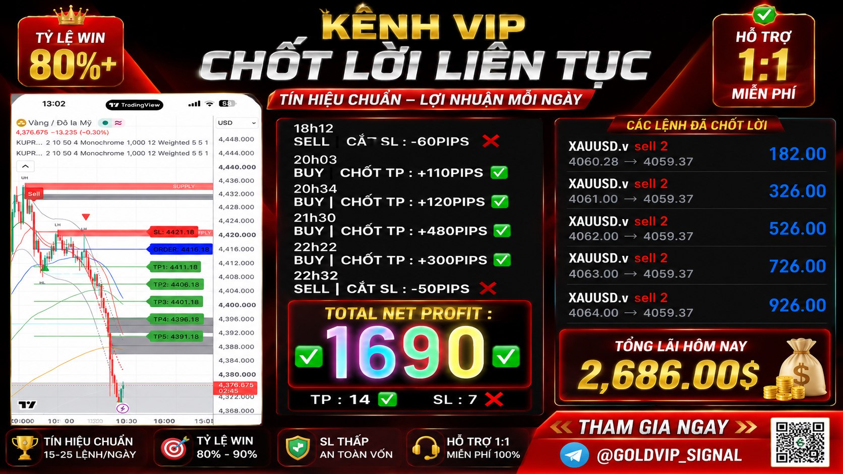 DaiLy | Gold Master VN