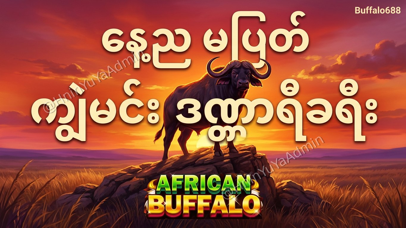ကျွဲဂိမ်းအစစ် Buffalo688 ၊ကျွဲဘုရင် ၊ရှမ်းကိုးမီး၊ဘူကြီး