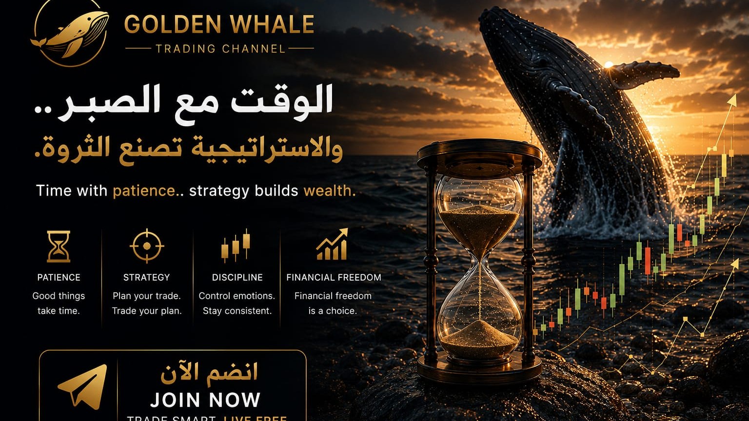 Golden Whale🥇
