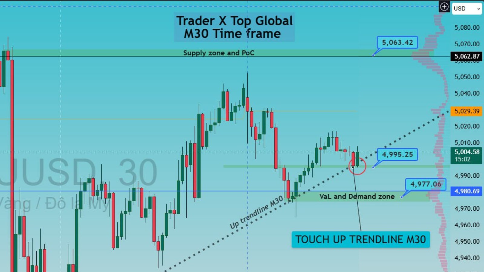 Trade X Top Global