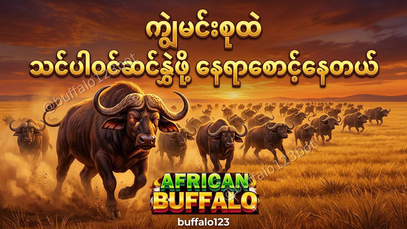 ကျွဲဂိမ်း Buffalo123 Official