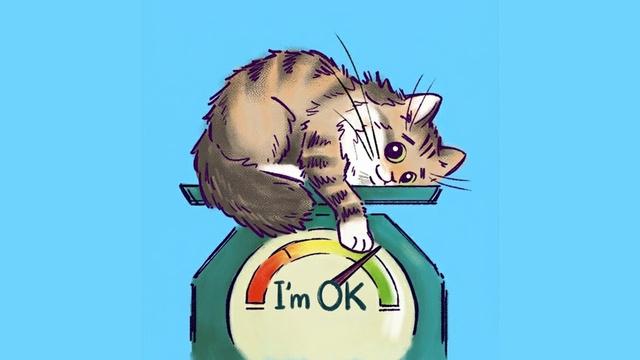 Фунт Спокойствия