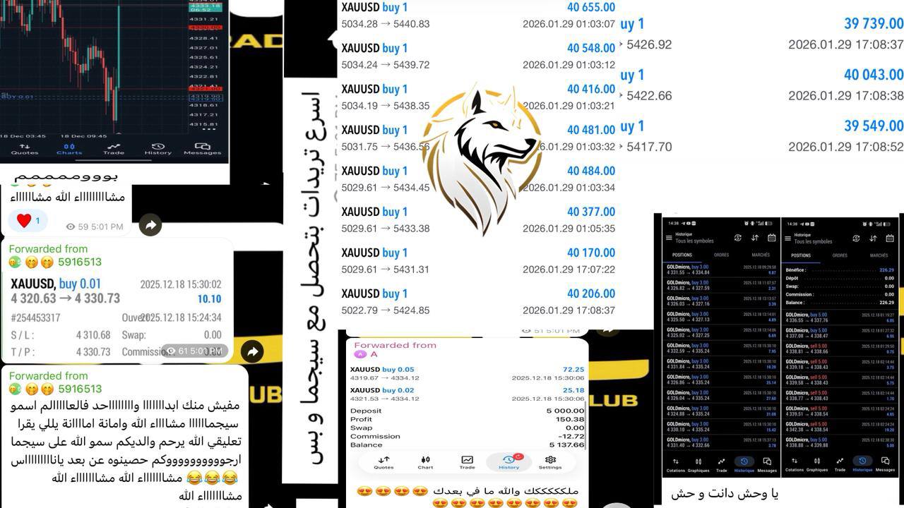 Sigma Trading Club