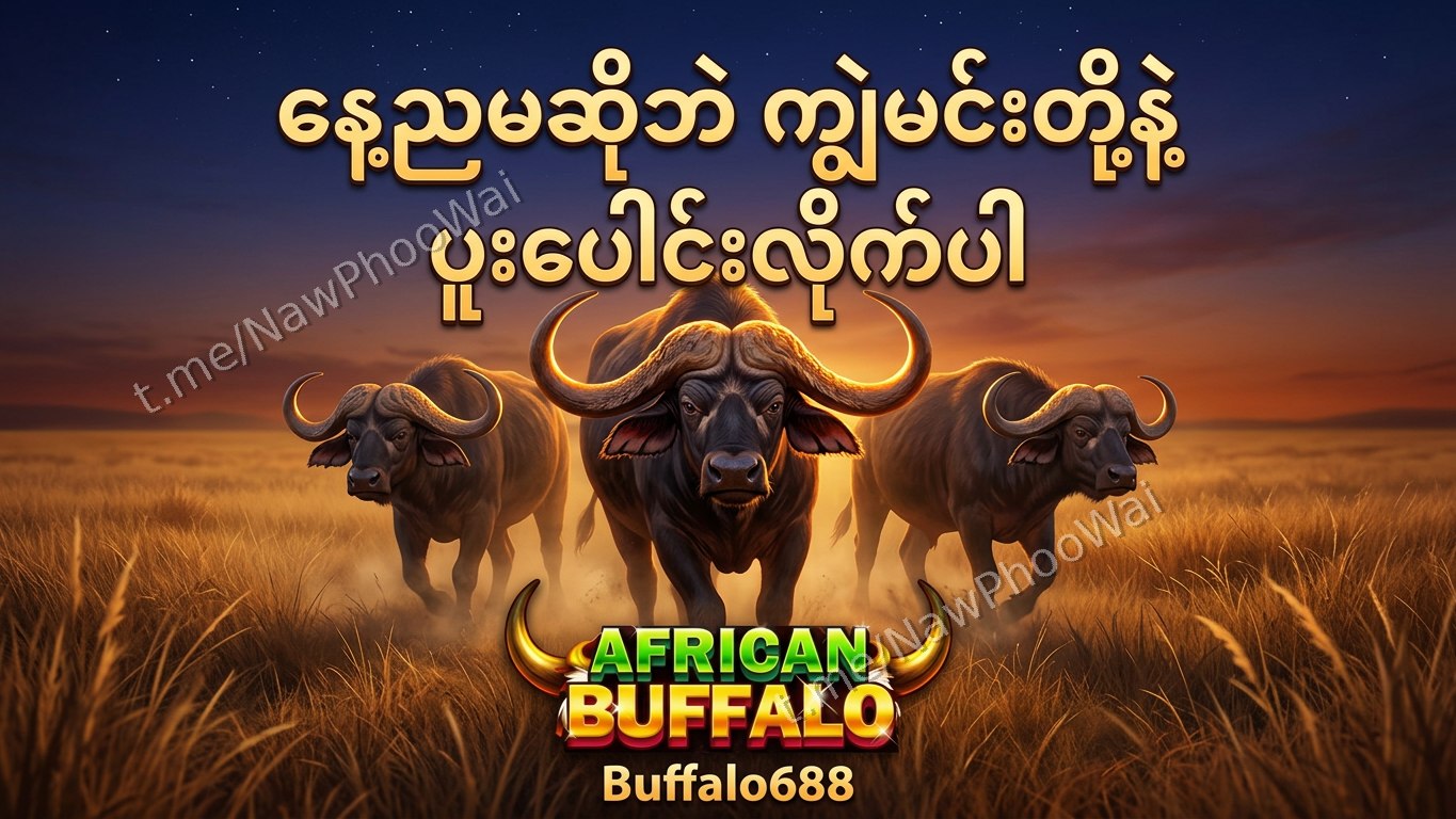 ⏰ ကျွဲဂိမ်း - နော်ဖူးဝေ 24 နာရီဝန်ဆောင်မှု