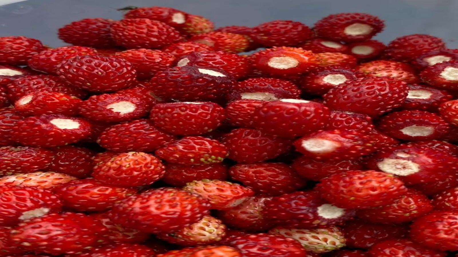 ecomarket.ru